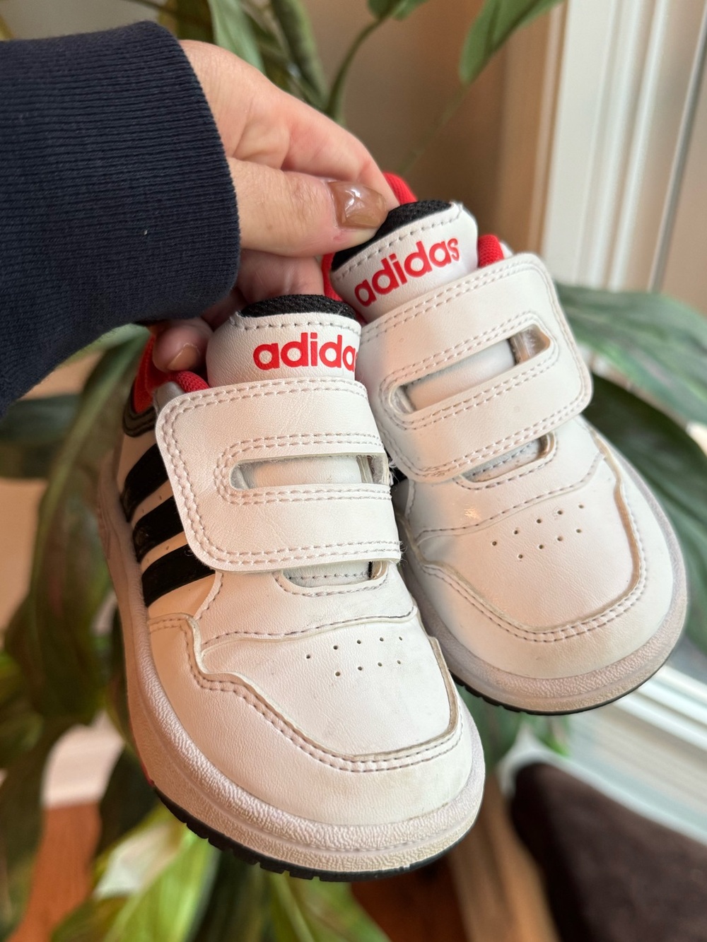 Like new!! white & black adidas Hoops 3.0 toddler sneakers, size 6T